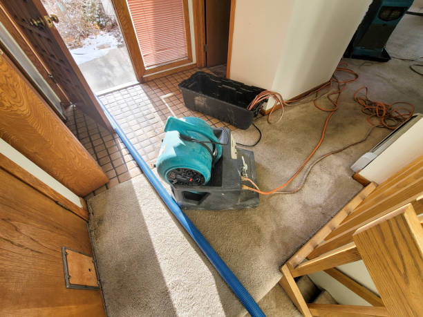 Best Professional water damage repair  in Beaver, PA