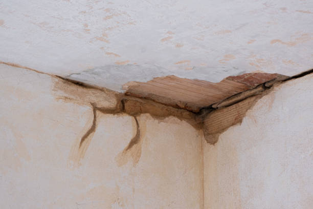  Beaver, PA Water damage restoration Pros