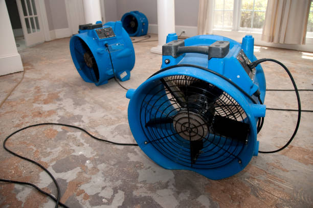 Best Professional water damage repair  in Beaver, PA
