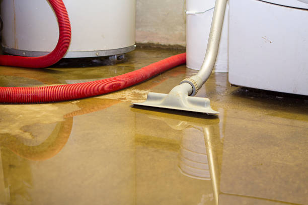 Best Residential water damage restoration  in Beaver, PA