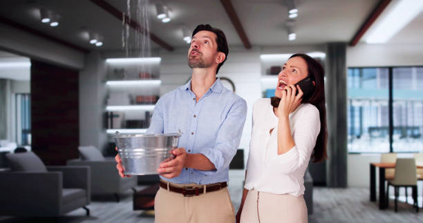 Best Local water damage restoration  in Beaver, PA