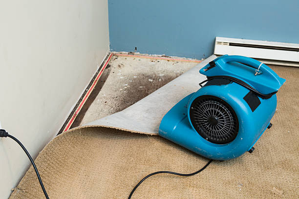 Best Local water damage restoration  in Beaver, PA
